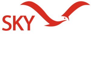 skyjackerz