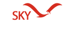 skyjackerz